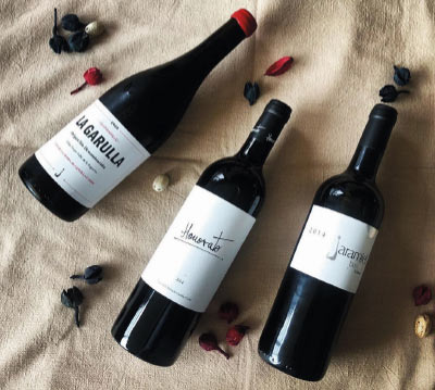 3 botellas de vino de Bodegas Honorato Calleja sobre un mantel