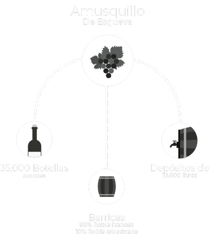 Infografía de la denominación Amusquillo de Esgueva
