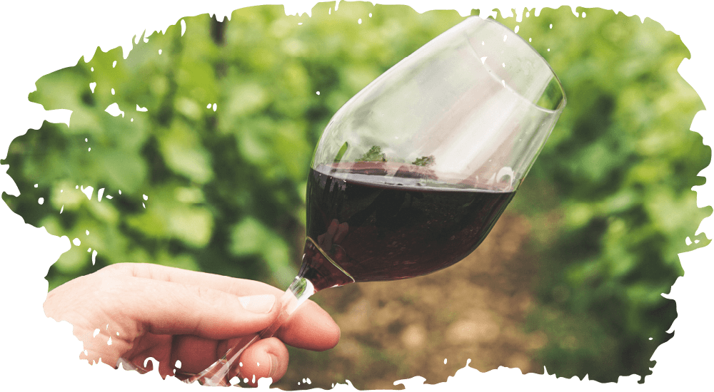 Mano con copa de vino en un cultivo
